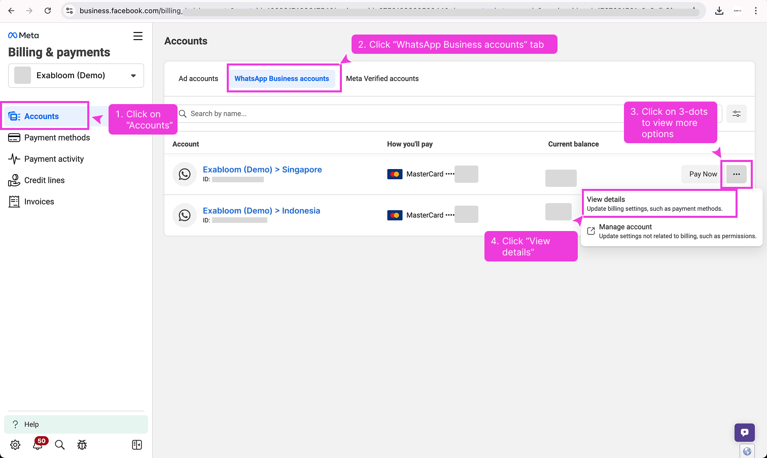 View all WhatsApp Business accounts