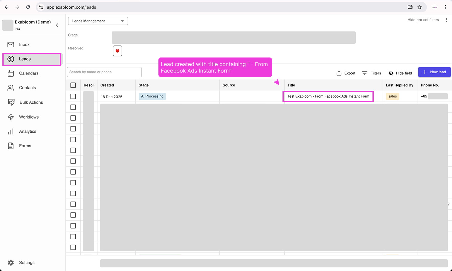 Leads page showing the test lead
