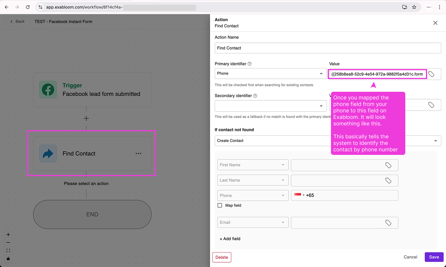 Phone field successfully mapped